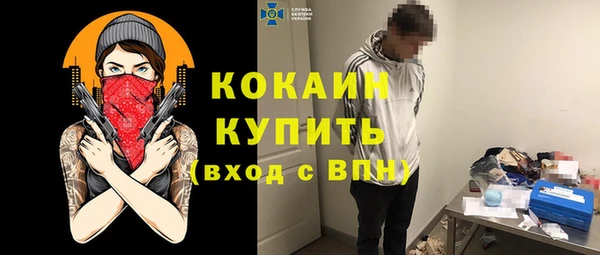 хмурый Алзамай