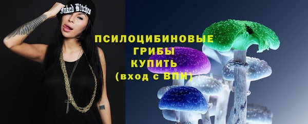 ECSTASY Армянск