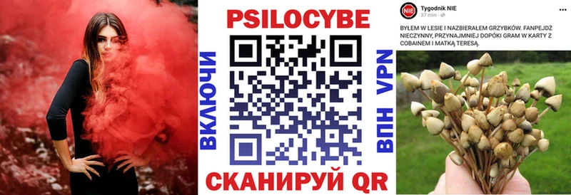 Псилоцибиновые грибы прущие грибы  Купить закладки  Суворов 