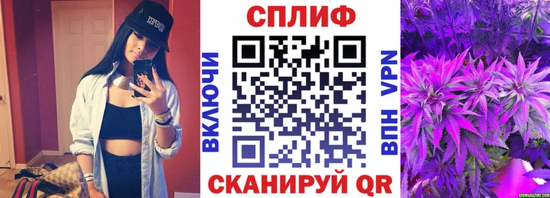 Купить закладки  Суворов  Каннабис VHQ 